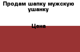 Продам шапку мужскую ушанку › Цена ­ 1 000 - Хакасия респ., Черногорск г. Одежда, обувь и аксессуары » Мужская одежда и обувь   . Хакасия респ.,Черногорск г.